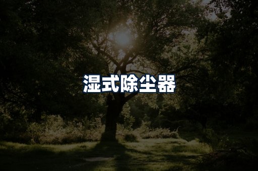 湿式除尘器